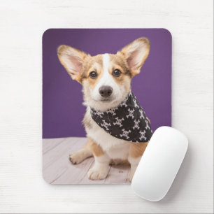 Cutest Baby Animals   Corgi Puppy Skull Bandana Mouse Pad
