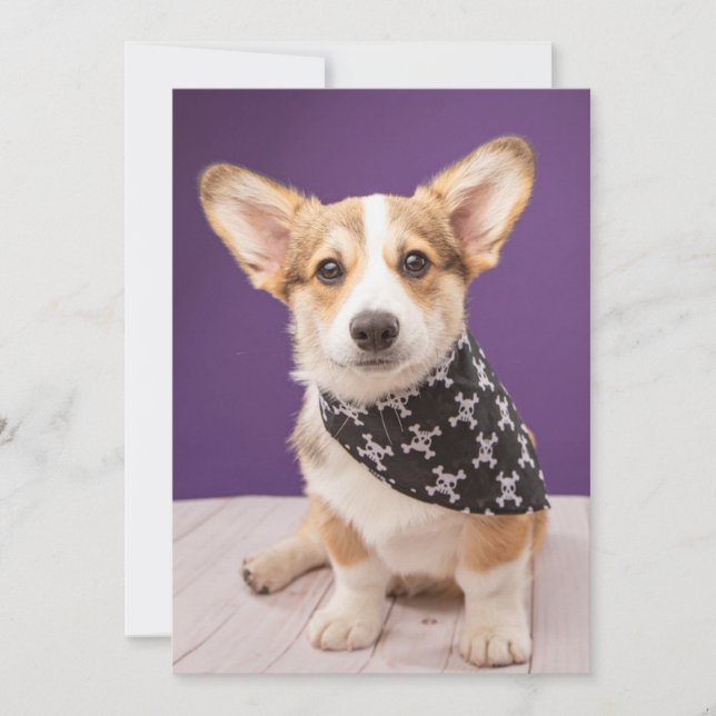 Cutest Baby Animals | Corgi Puppy Skull Bandana Thank You Card (Front)