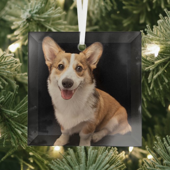 Cutest Baby Animals | Corgi Puppy Smile Glass Ornament (Insitu)