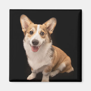 Cutest Baby Animals Corgi Puppy Smile Magnet