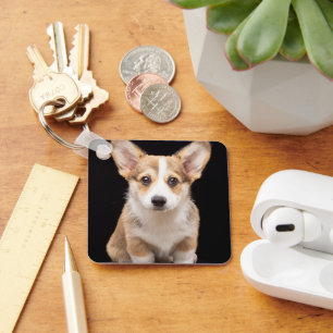 Cutest Baby Animals Corgi Puppy Standing Tall Keychain
