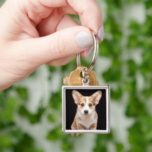 Cutest Baby Animals   Corgi Puppy Standing Tall Keychain