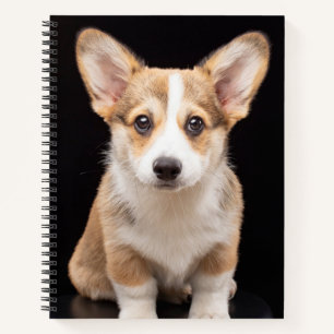 Cutest Baby Animals Corgi Puppy Standing Tall Notebook