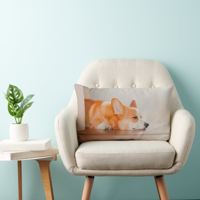 Cutest Baby Animals | Corgi Sleeping Lumbar Pillow (Chair)