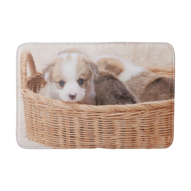 Cutest Baby Animals | Corgi Tiny Puppy Bath Mat (Front)