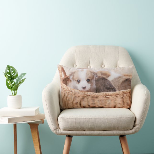 Cutest Baby Animals | Corgi Tiny Puppy Lumbar Pillow (Chair)
