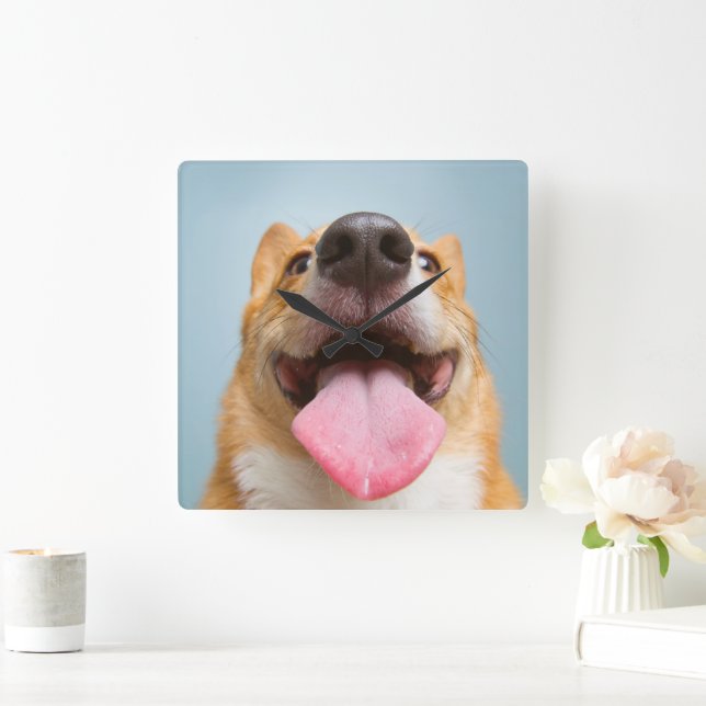 Cutest Baby Animals | Corgi Tongue Square Wall Clock (Home)