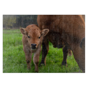 Cutest Baby Animals   Cow & Calf Cutting Board