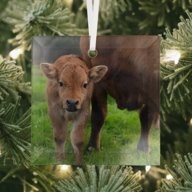 Cutest Baby Animals | Cow & Calf Glass Ornament (Insitu)