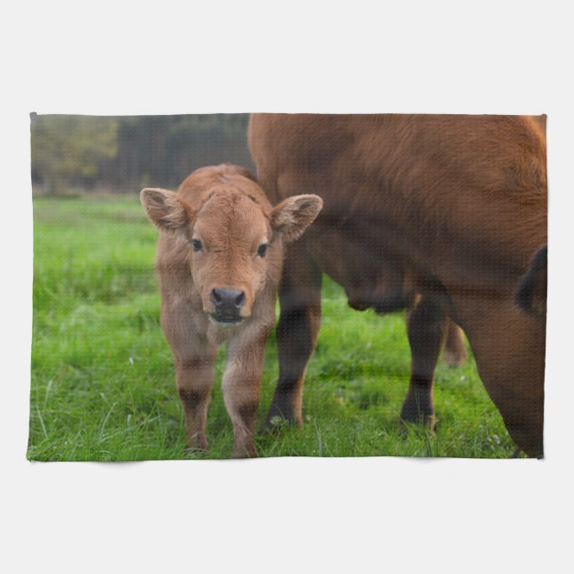 Cutest Baby Animals | Cow & Calf Kitchen Towel (Horizontal)