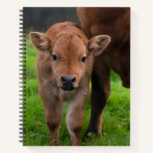 Cutest Baby Animals | Cow & Calf Notebook (Front)
