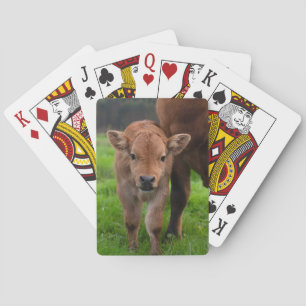 Cutest Baby Animals Cow & Calf Playing Cards