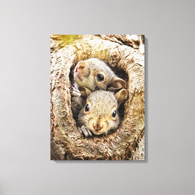 Cutest Baby Animals | Curious Baby Squirrels Canvas Print (Front)