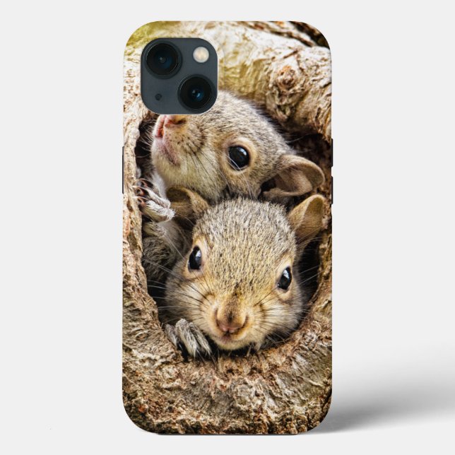 Cutest Baby Animals | Curious Baby Squirrels Case-Mate iPhone Case (Back)