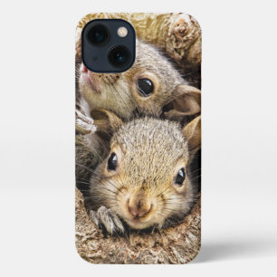 Cutest Baby Animals Curious Baby Squirrels iPhone 13 Case