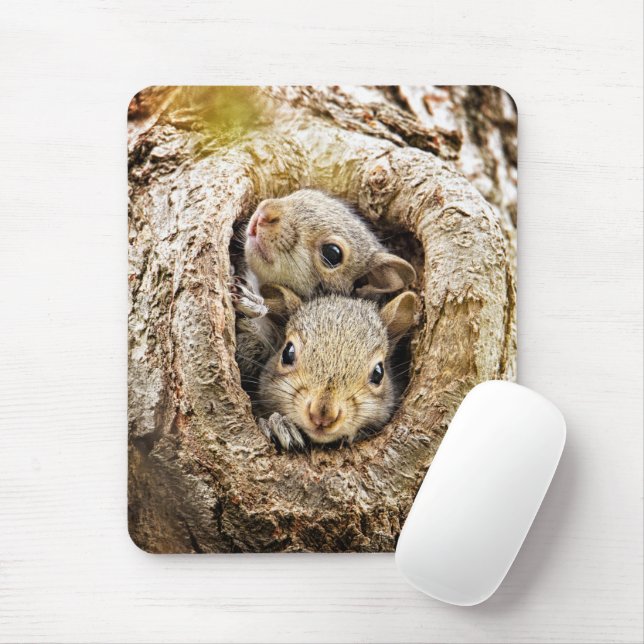 Cutest Baby Animals | Curious Baby Squirrels Mouse Pad (With Mouse)