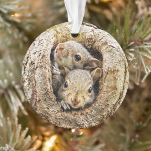 Cutest Baby Animals Curious Baby Squirrels Ornament
