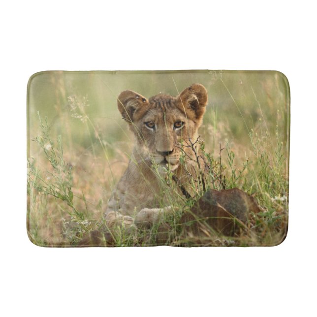 Cutest Baby Animals | Cute Baby Lion Cub Bath Mat (Front)