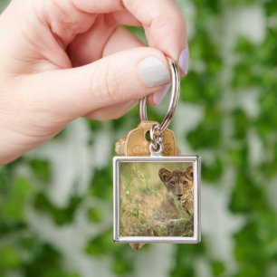 Cutest Baby Animals   Cute Baby Lion Cub Keychain
