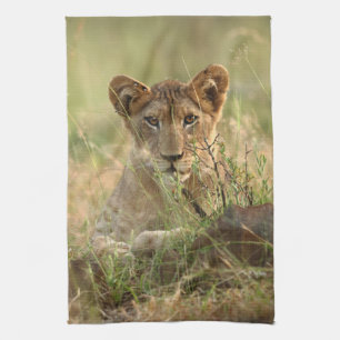 Cutest Baby Animals Cute Baby Lion Cub Kitchen Towel