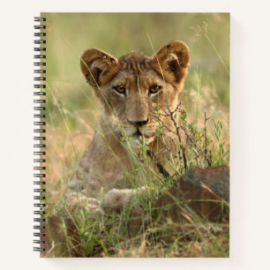 Cutest Baby Animals Cute Baby Lion Cub Notebook