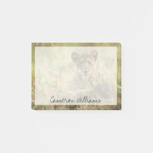 Cutest Baby Animals Cute Baby Lion Cub Post-it Notes