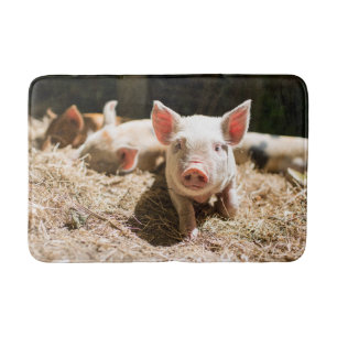 Cutest Baby Animals Cute Baby Piglet Bath Mat