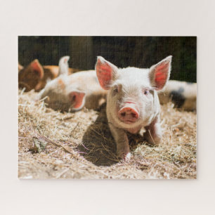 Cutest Baby Animals   Cute Baby Piglet Jigsaw Puzzle