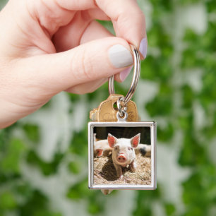 Cutest Baby Animals Cute Baby Piglet Keychain