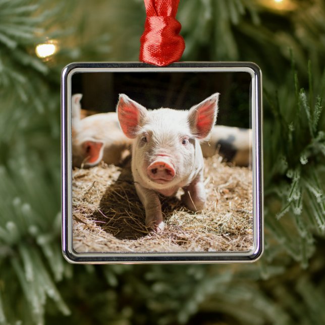 Cutest Baby Animals | Cute Baby Piglet Metal Ornament (Tree)