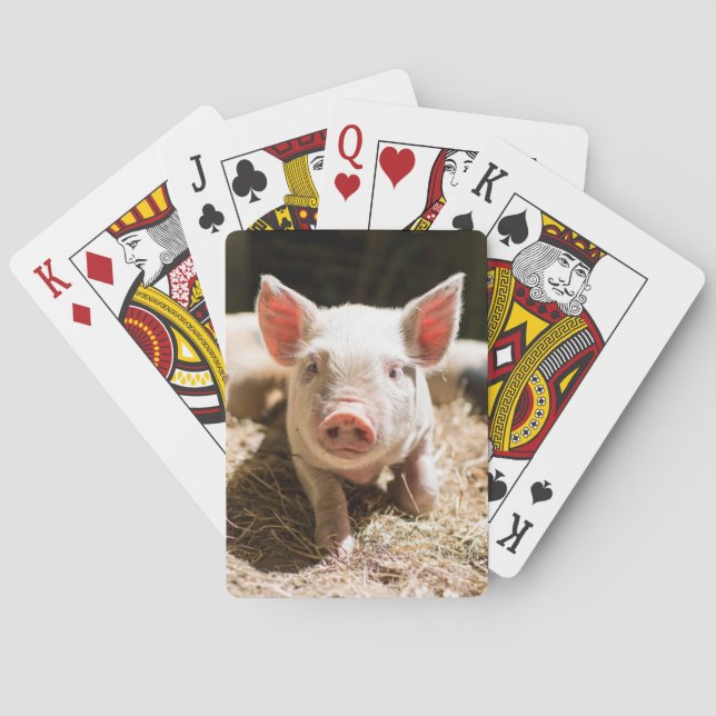 Cutest Baby Animals | Cute Baby Piglet Playing Cards (Back)