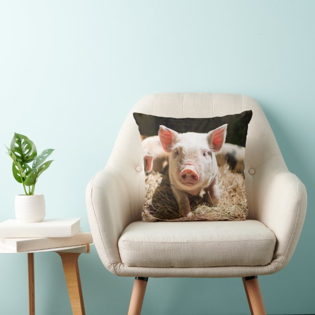 Cutest Baby Animals | Cute Baby Piglet Throw Pillow (Chair)