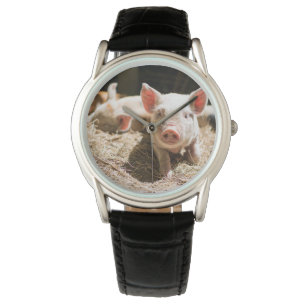 Cutest Baby Animals   Cute Baby Piglet Watch