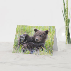 Cutest Baby Animals Cute Brown Bear Cub Playing Card