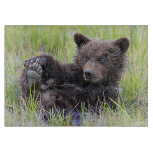 Cutest Baby Animals Cute Brown Bear Cub Playing Cutting Board