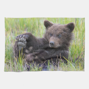 Cutest Baby Animals Cute Brown Bear Cub Playing Kitchen Towel