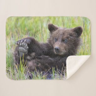 Cutest Baby Animals   Cute Brown Bear Cub Playing Sherpa Blanket