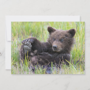 Cutest Baby Animals Cute Brown Bear Cub Playing Thank You Card