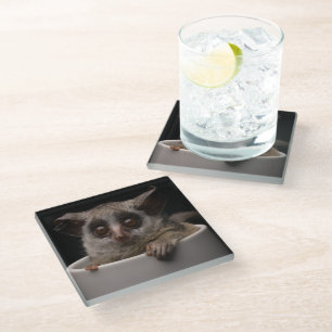 Cutest Baby Animals Cute Bushbaby Glass Coaster