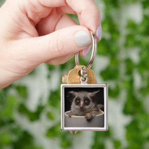 Cutest Baby Animals Cute Bushbaby Keychain