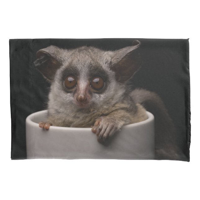 Cutest Baby Animals | Cute Bushbaby Pillowcase (Front)