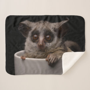 Cutest Baby Animals   Cute Bushbaby Sherpa Blanket
