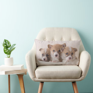 Cutest Baby Animals Cute Corgi Puppies in a Pot Lumbar Pillow
