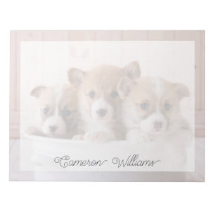 Cutest Baby Animals   Cute Corgi Puppies in a Pot Notepad