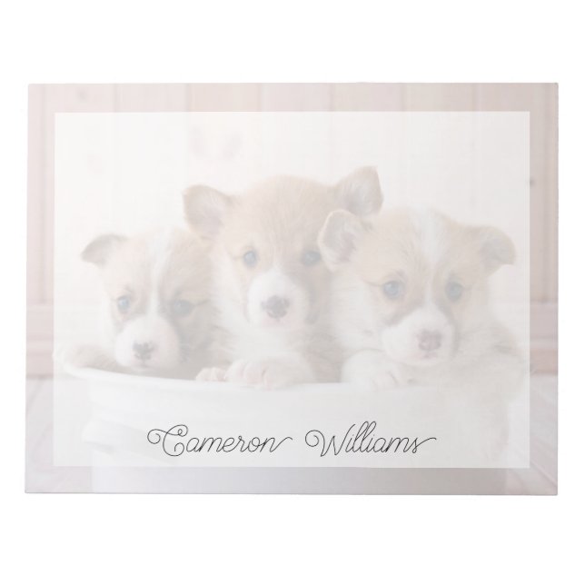 Cutest Baby Animals | Cute Corgi Puppies in a Pot Notepad (Front)