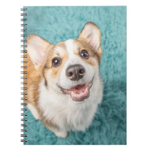 Cutest Baby Animals Cute Corgi Puppy Smile Notebook