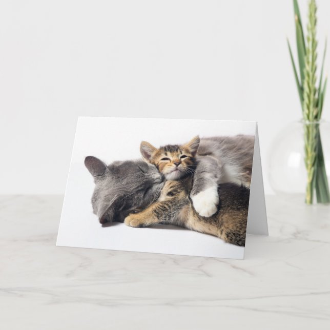 Cutest Baby Animals | Cute Kitten Hug Card (Front)
