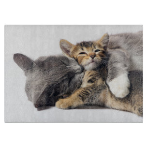 Cutest Baby Animals Cute Kitten Hug Cutting Board
