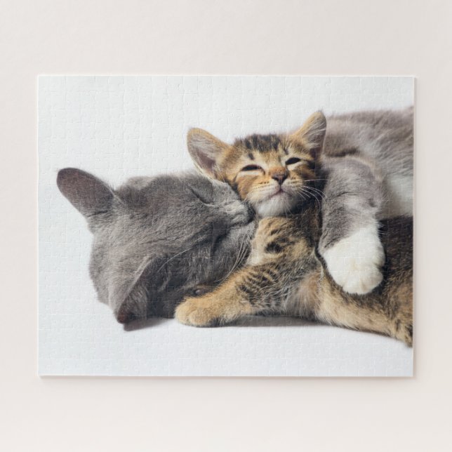 Cutest Baby Animals | Cute Kitten Hug Jigsaw Puzzle (Horizontal)