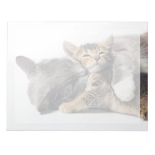 Cutest Baby Animals   Cute Kitten Hug Notepad